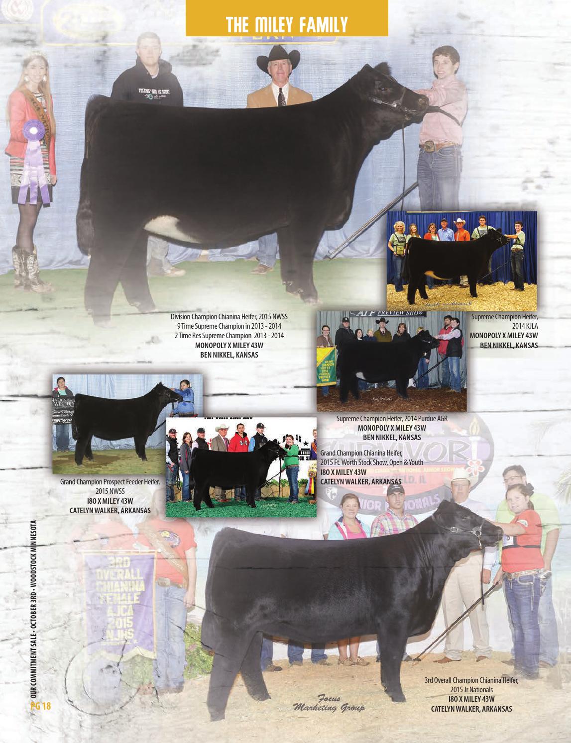 Steck Cattle 2015 Our Commitment Sale By Sci Stephanie Cronin