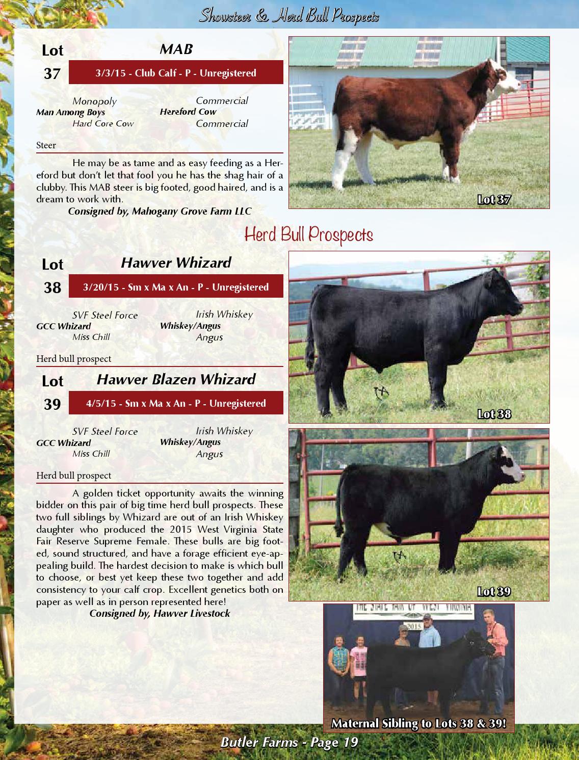 2015 Butler Farms Production Sale By Dwyer Cattle Services Issuu