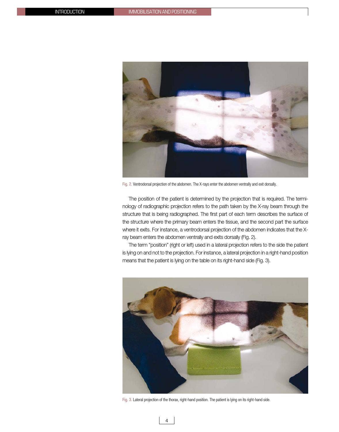 Handbook of radiographic positions and projections in the dog by Grupo ...