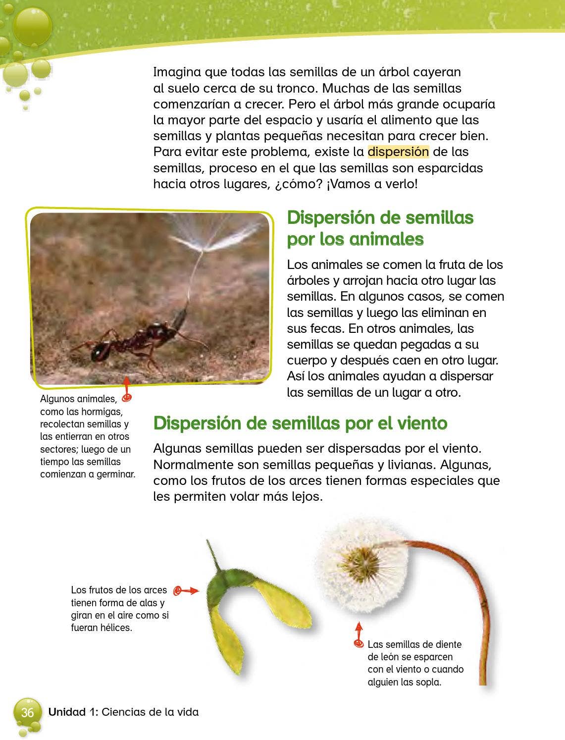 Ciencias naturales alumno 3 by juan albornoz - Issuu, image size:1141x1494
