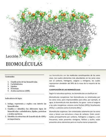 Page 246