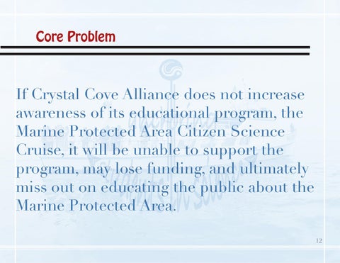水晶 灯槽 Alliance Public Relations Campaign 第 12 页