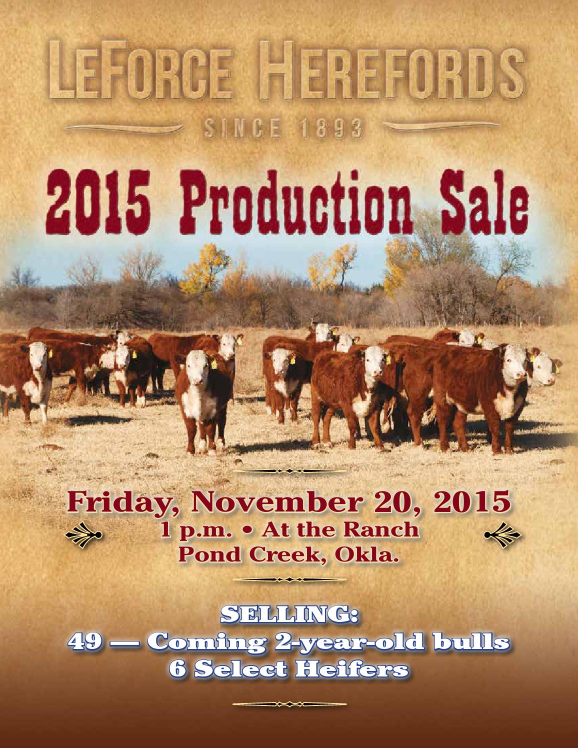 LeForce Herefords 2015 Production Sale by American Hereford Association