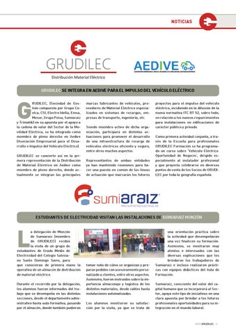 Boletin Grudilec Profesional 26 第 11 页