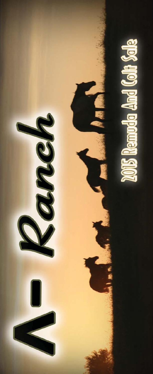 2015 A Bar Ranch catalog by EDJE Issuu