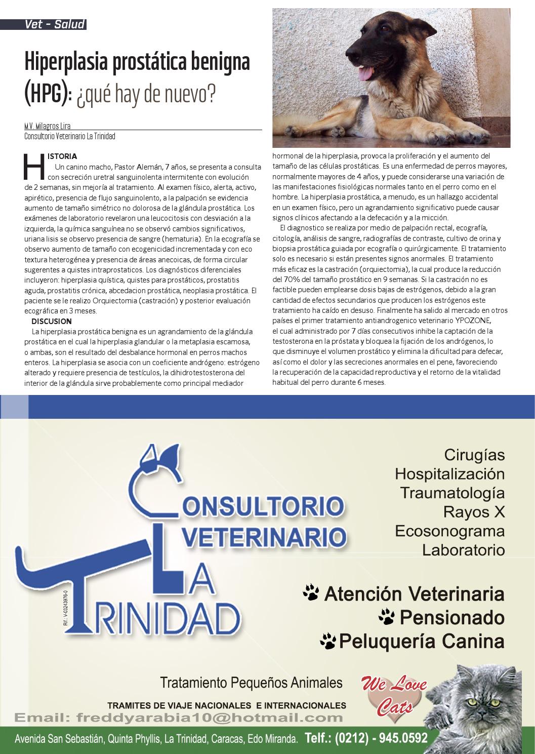 tratamiento de la hiperplasia prostática benigna del perro tratamiento de la hiperplasia prostática benigna del perro