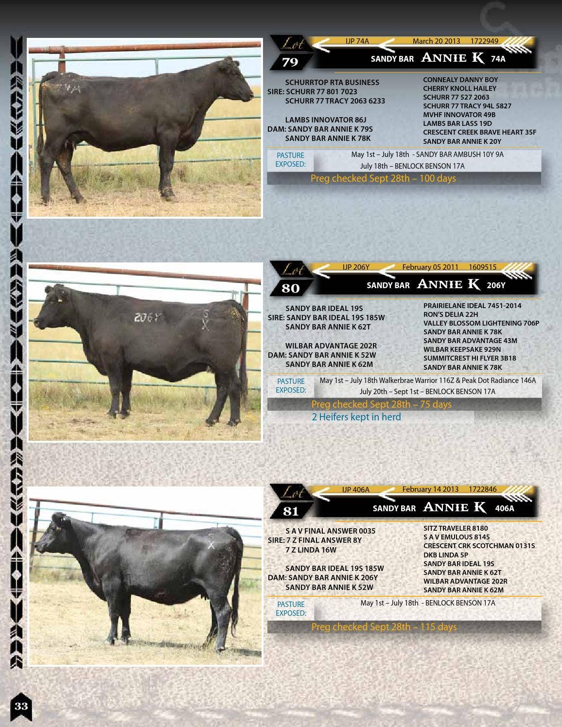 Sandy Bar Ranch Complete Cow Herd Dispersal by Everything Angus Issuu