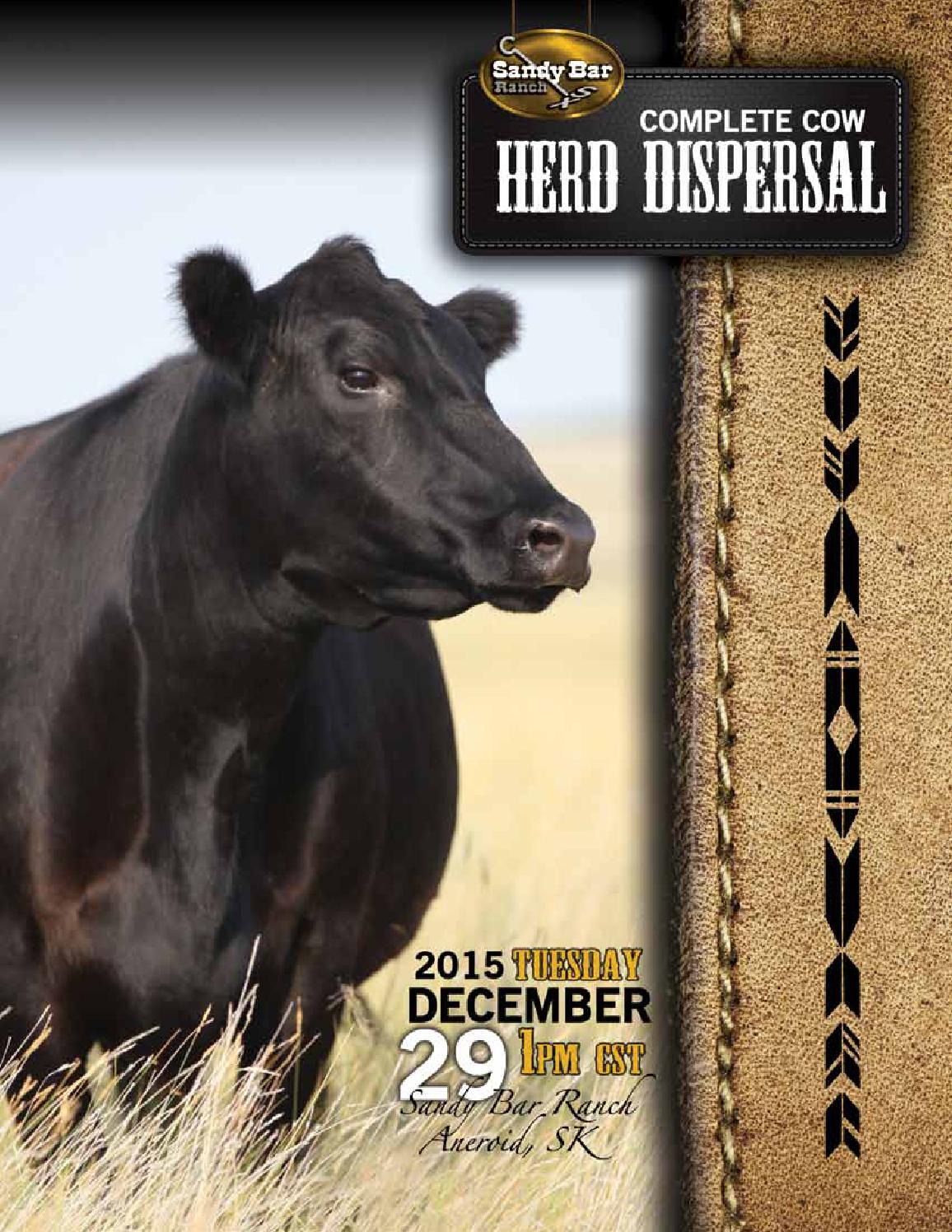 Sandy Bar Herd Dispersal by Canadian Angus Association Issuu