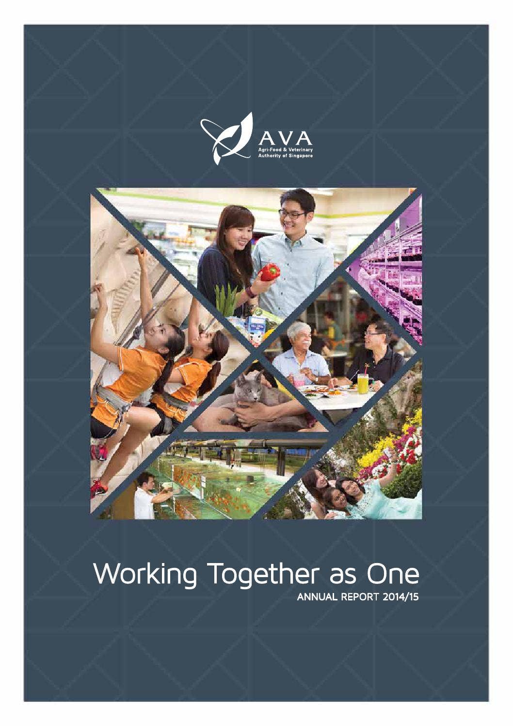 AVA Annual Report 2014-15 by Artnexus Design Pte Ltd - Issuu