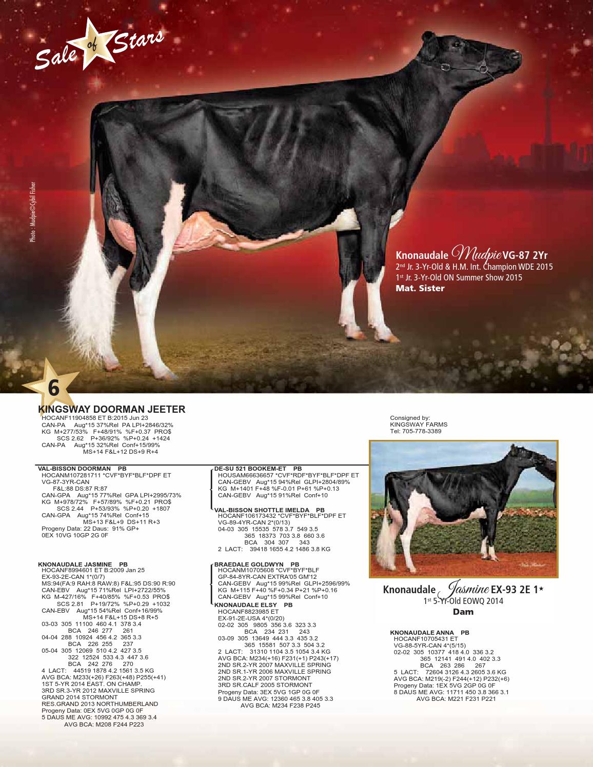 Sale Of Stars 15 Sale Catalog By Cowsmopolitan Issuu
