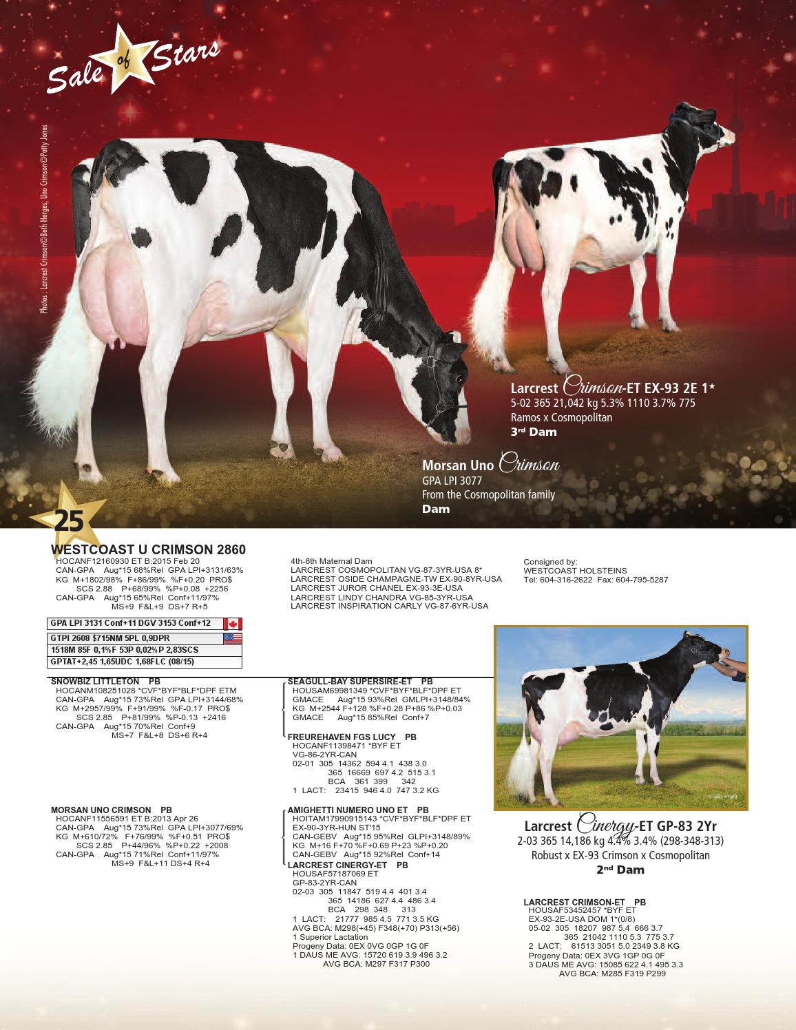Sale Of Stars 15 Sale Catalog By Cowsmopolitan Issuu