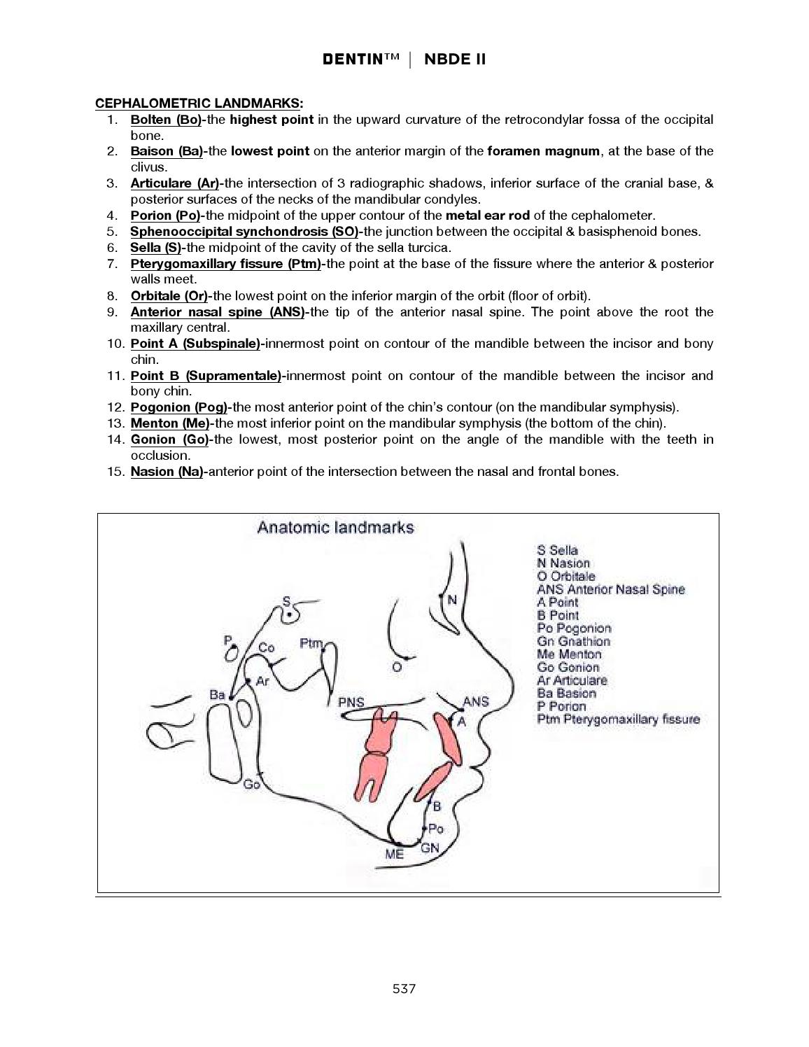 Dentin nbde part 2 sample by DENTIN Issuu