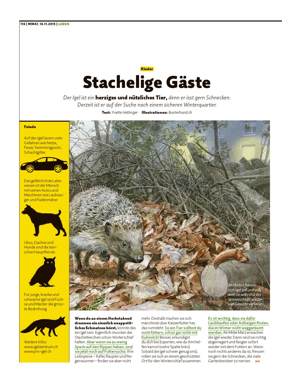 Migros Magazin 47 2015 D Aa By Migros Genossenschafts Bund Issuu