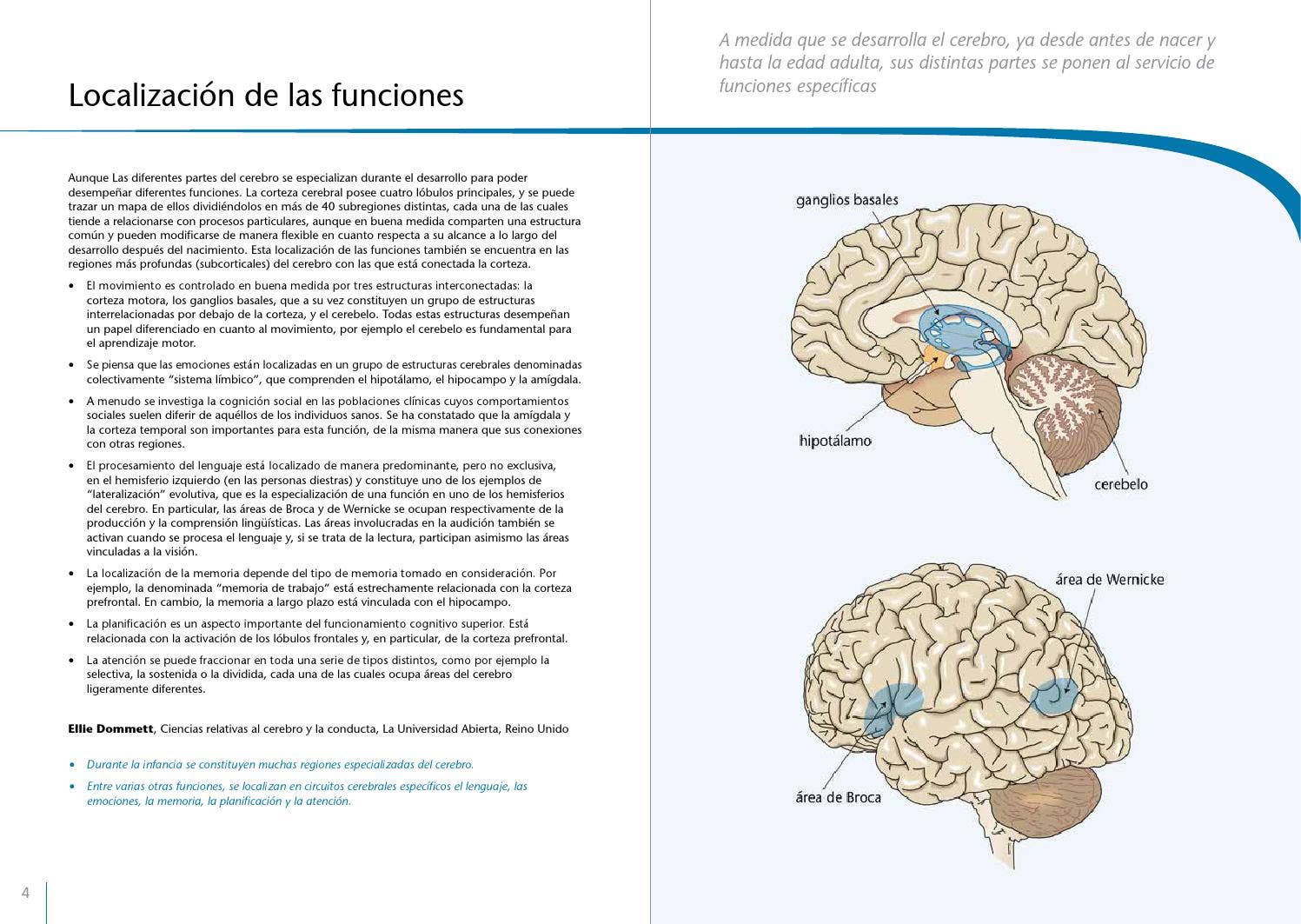 Desarrollo embrionario, image size:1497x1063