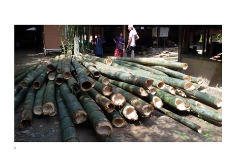 Bamboo // Crafting the Future 第 8 页