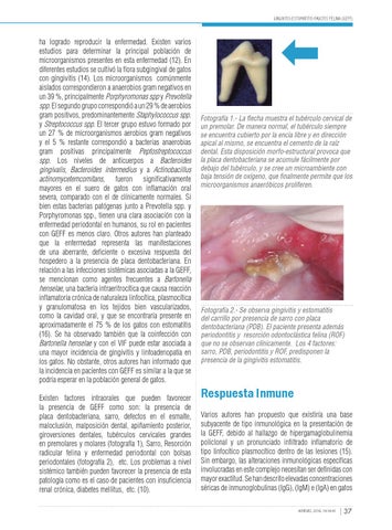 Actualidades en Medicina Veterinaria y Zootecnia #14 by Actualidades en ...