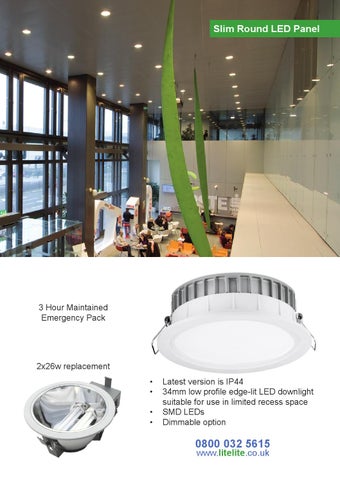 Litelite 2016 - Energy Efficient LED 灯饰 第 19 页