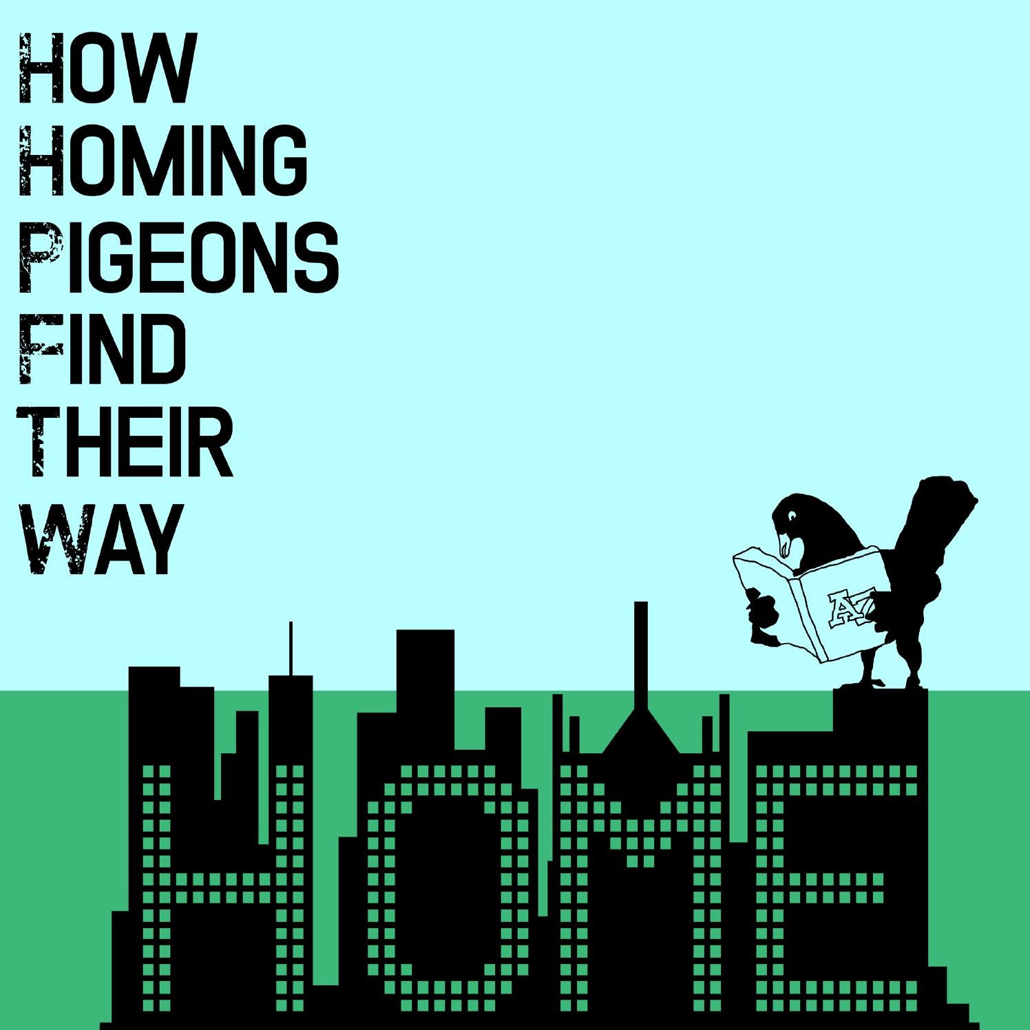 How Homing Pigeons Find Their Way Home by Change your Password Issuu