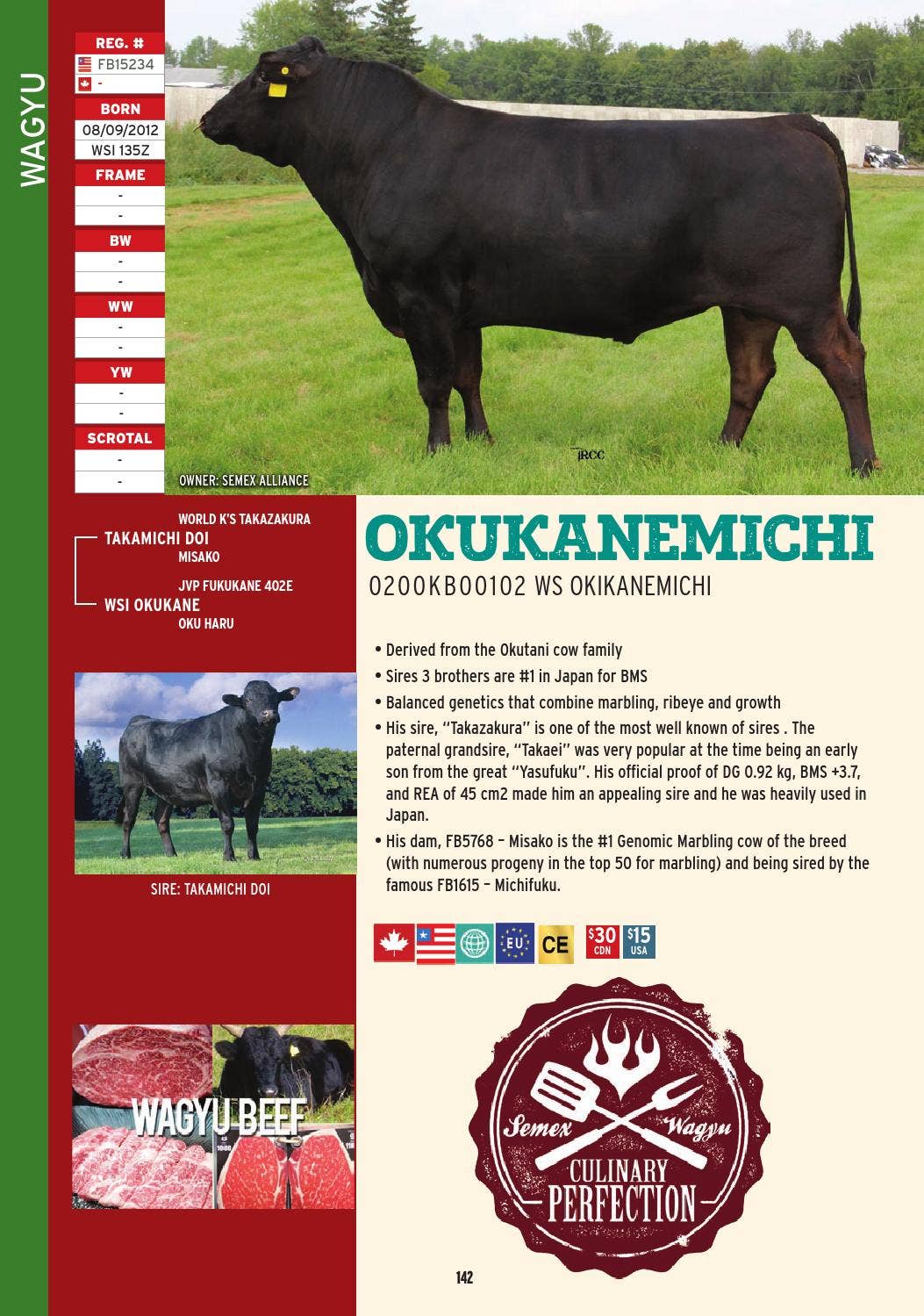 2016 International Semex Beef Catalogue by Semex - Issuu