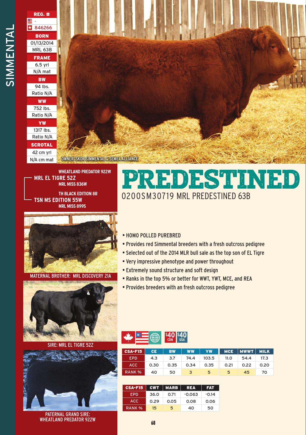 2016 International Semex Beef Catalogue by Semex Issuu