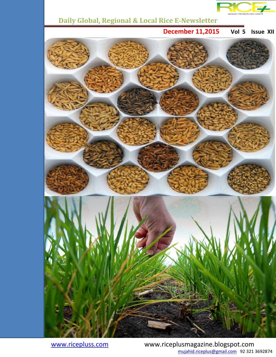 Reshared Rice 11 th december,2015 daily global regional,local rice e newsletter by ...