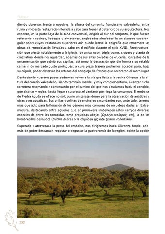 Page 253