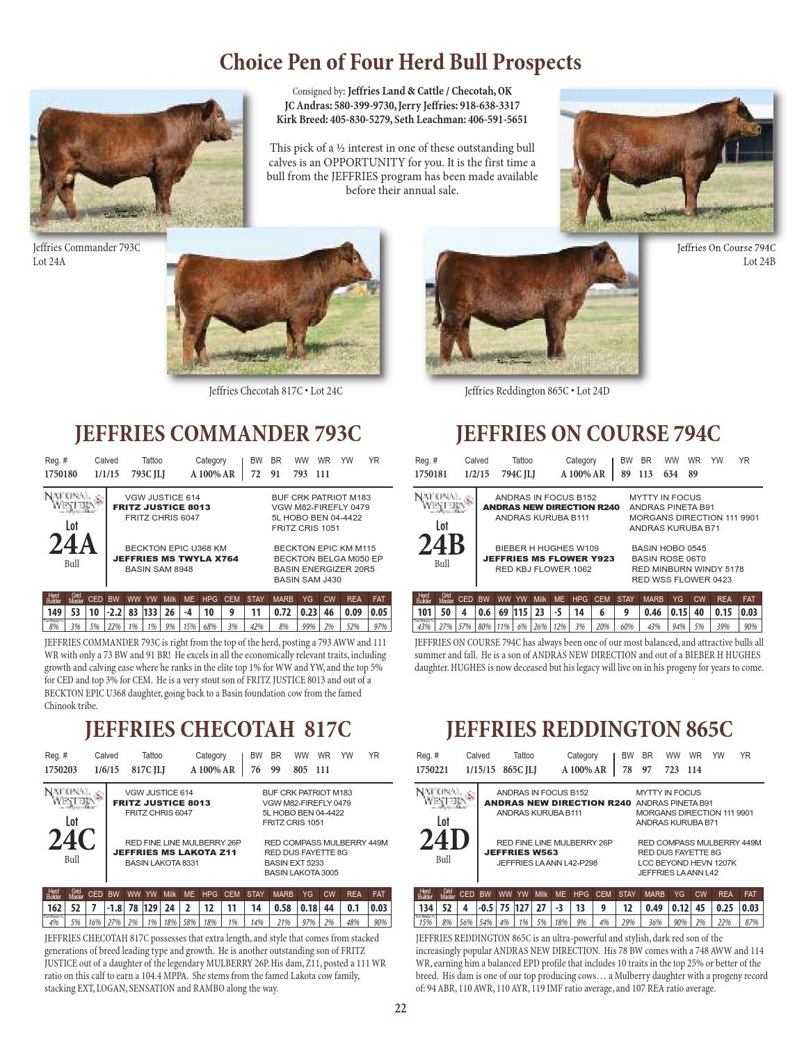 Mile High Sale 2016 by Tracy McMurphy - Issuu