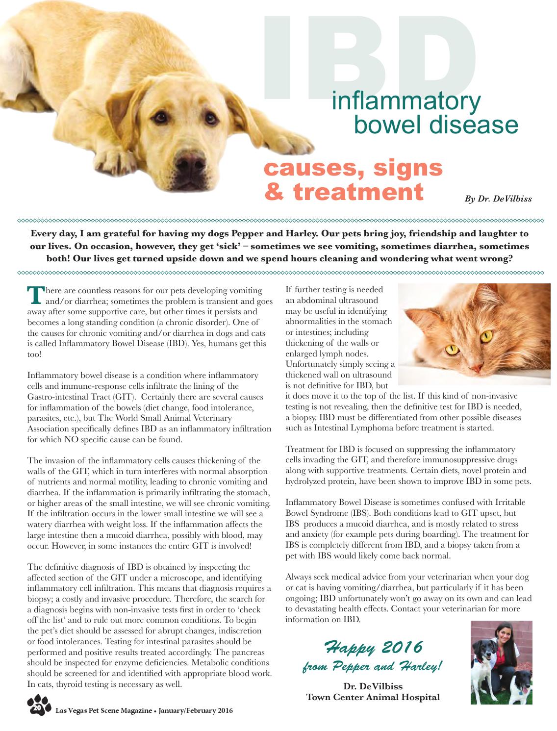 Inflammatory Bowel Disease In Cats Food Inflammatory Bowel Disease In Cats Food