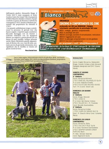 Page 41
