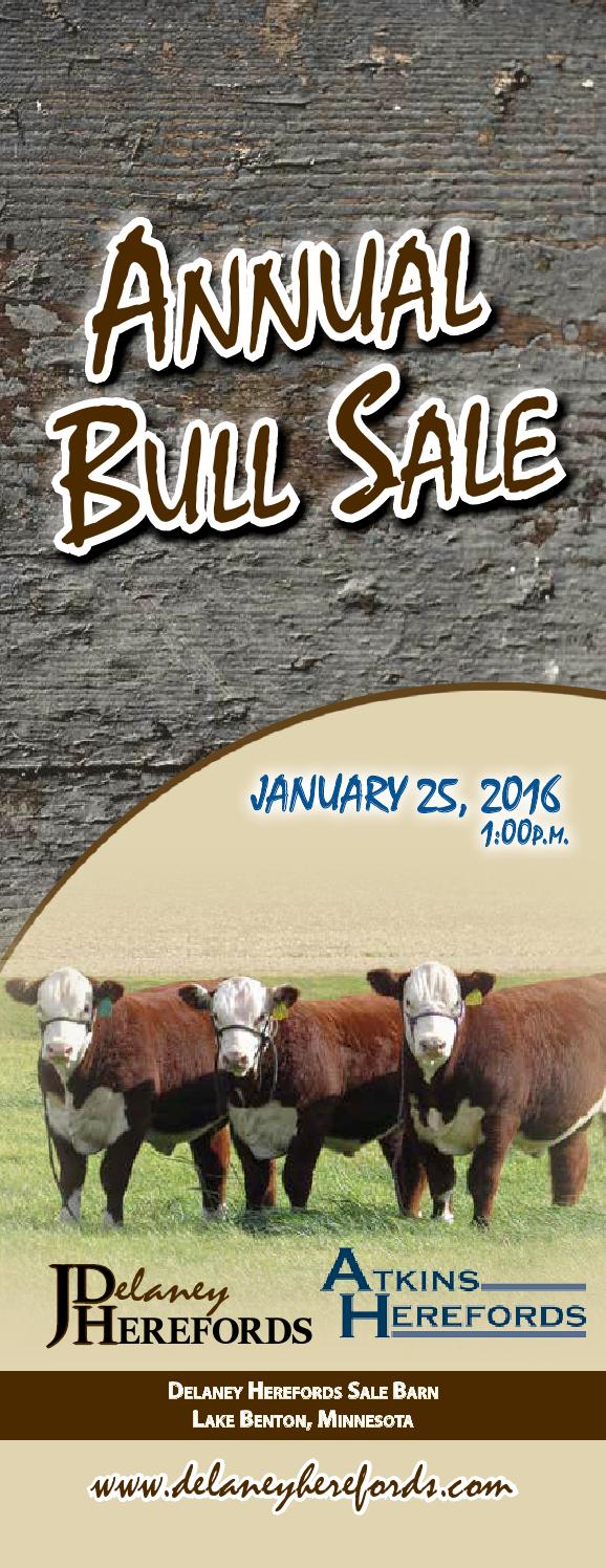 Delaney Herefords Annual Bull Sale by Today's Publishing Inc. Issuu