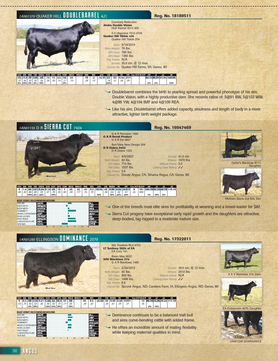 2016 Genex Beef Management Guide by GENEX Issuu