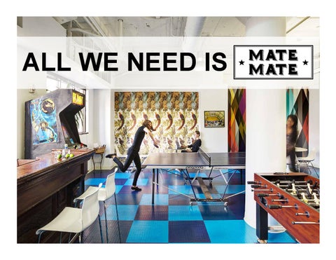 Mate Mate Presentation 第 11 页