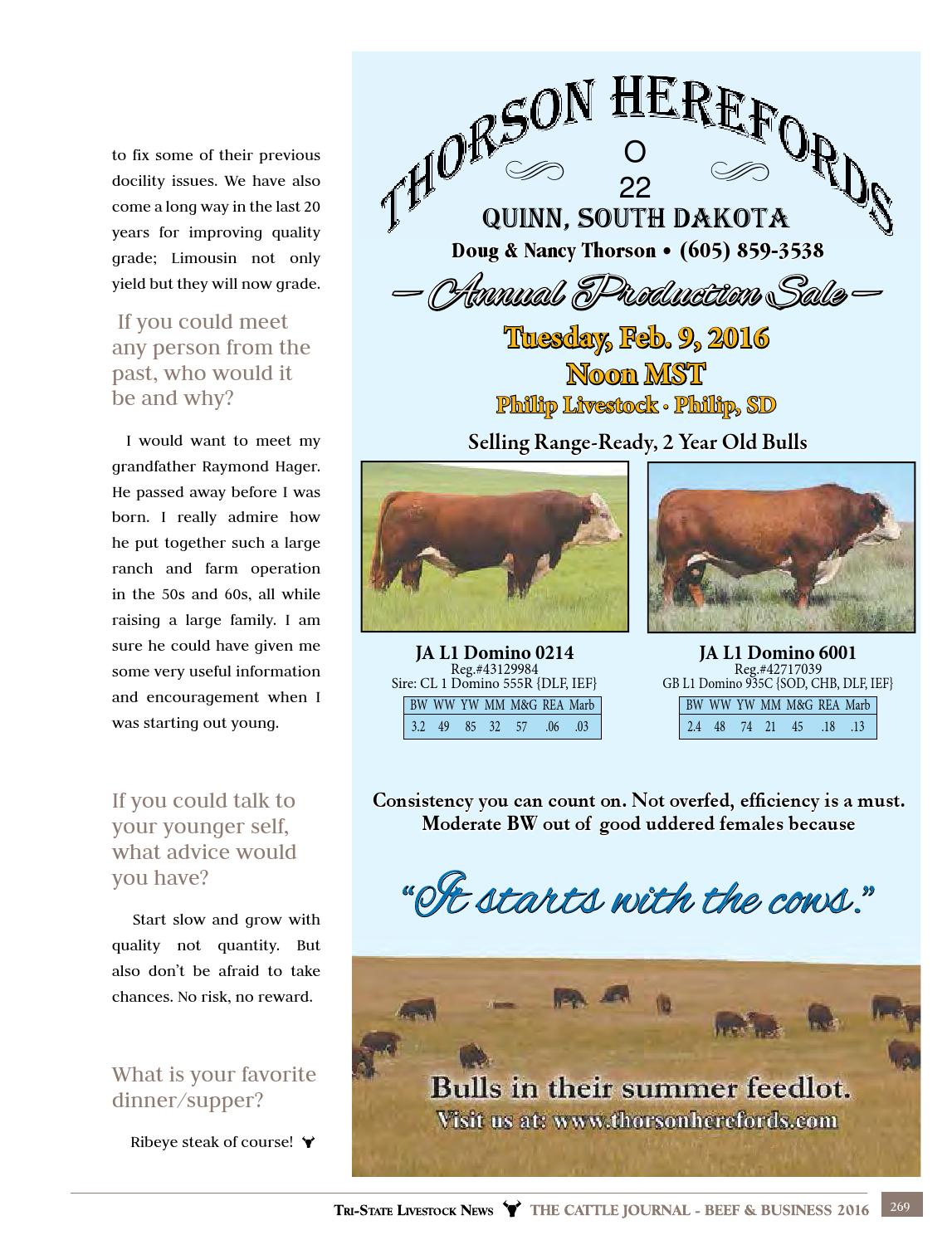 2016 Cattle Journal Beef & Business by TriState Livestock News