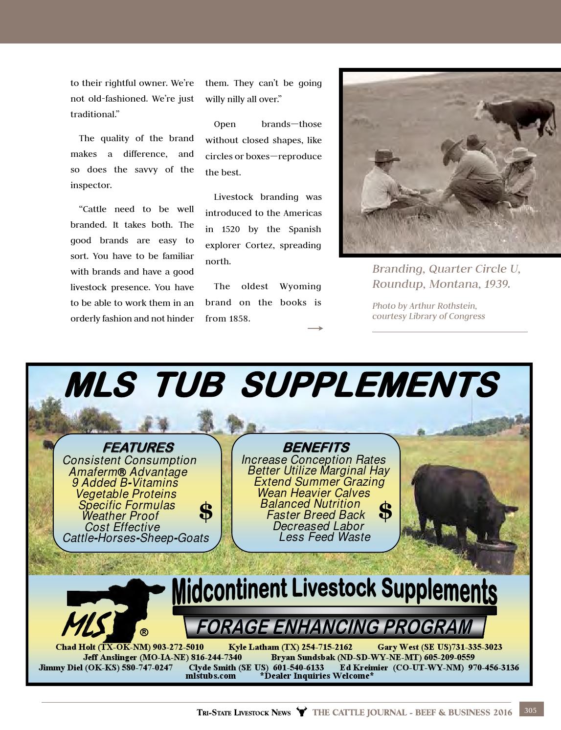 2016 Cattle Journal Beef & Business by TriState Livestock News