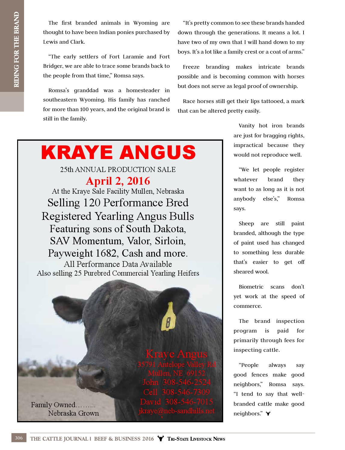 2016 Cattle Journal Beef & Business by TriState Livestock News