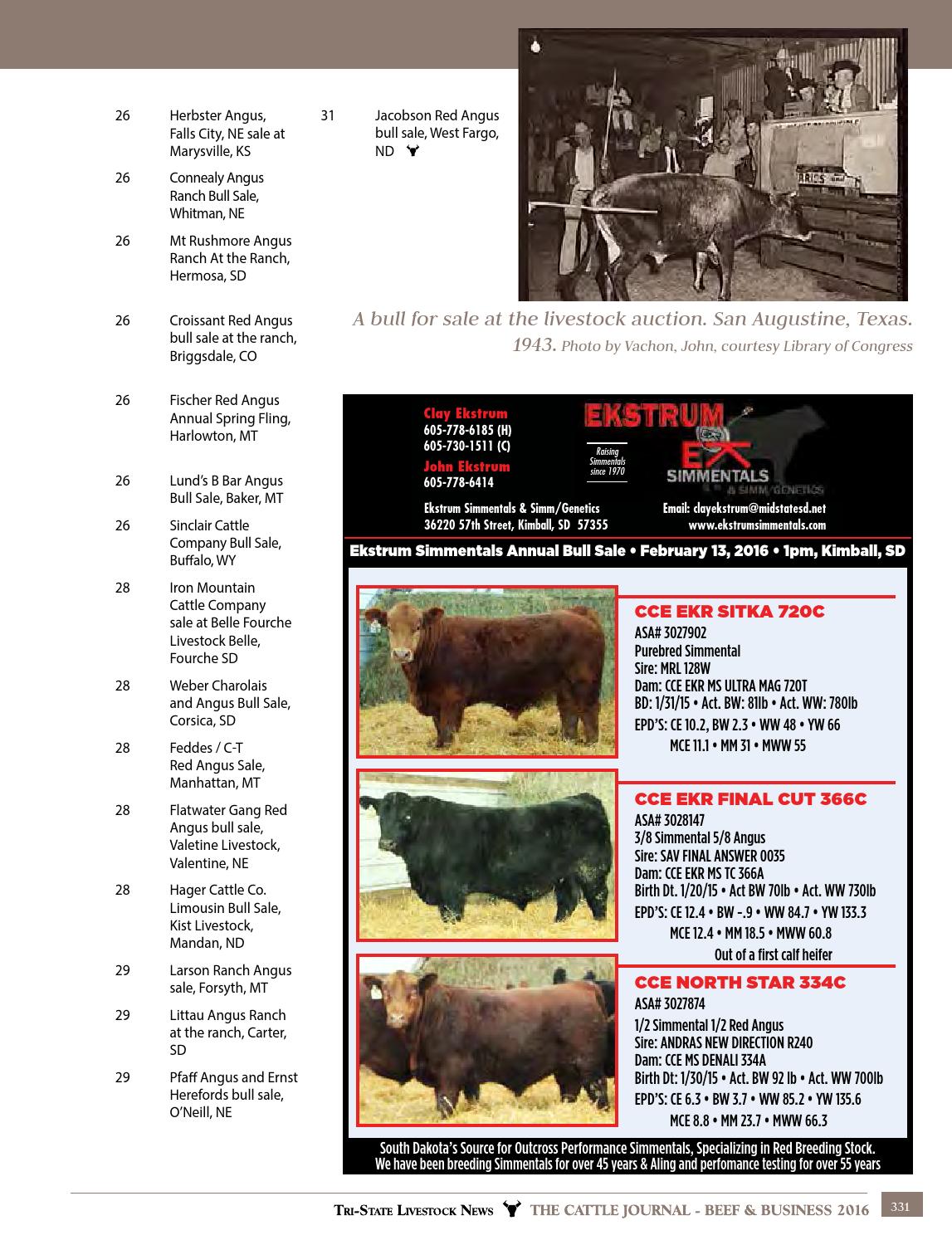 2016 Cattle Journal Beef & Business by TriState Livestock News
