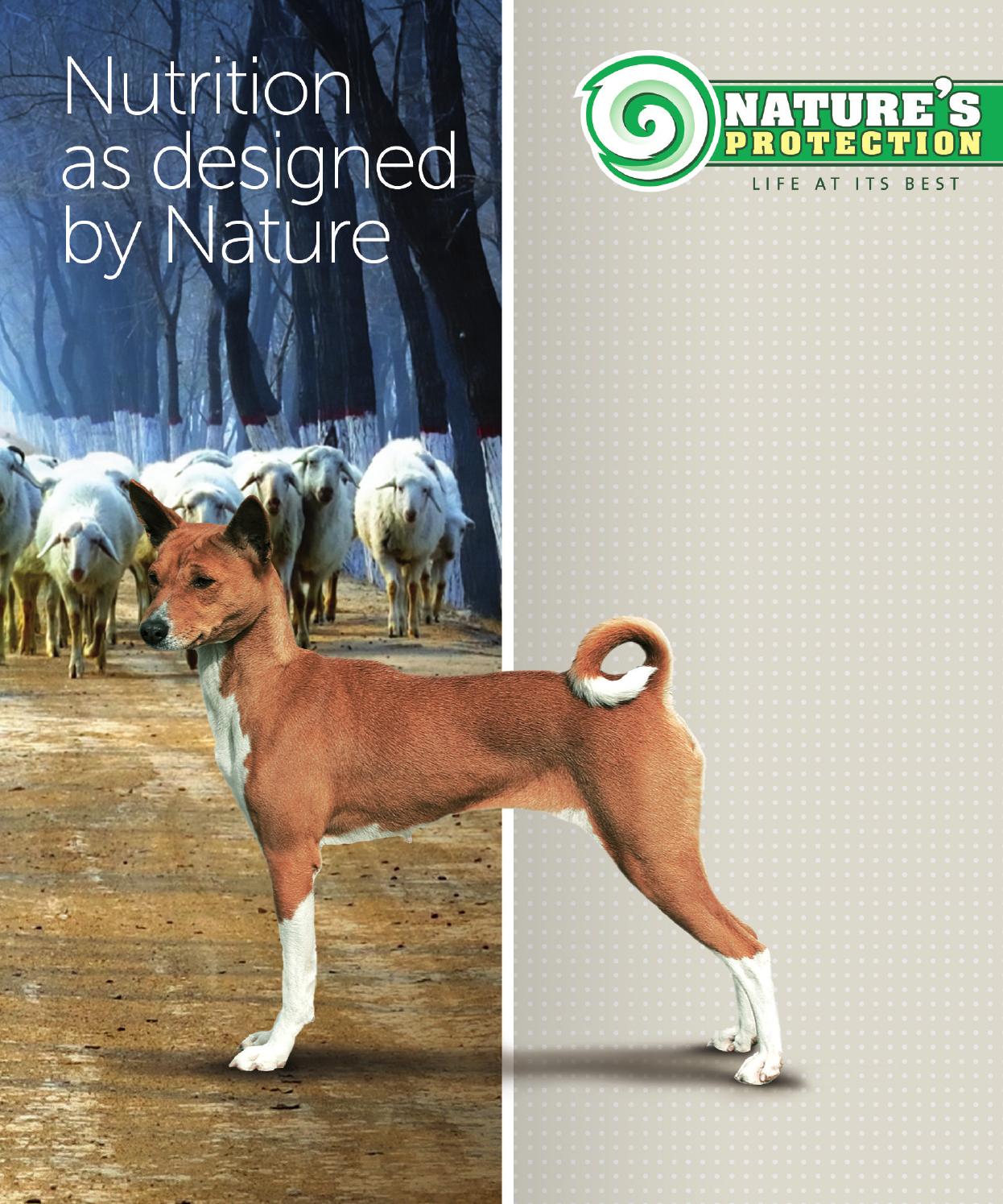 NATURE'S PROTECTION Dog food catalog (2012) by Tarela Issuu