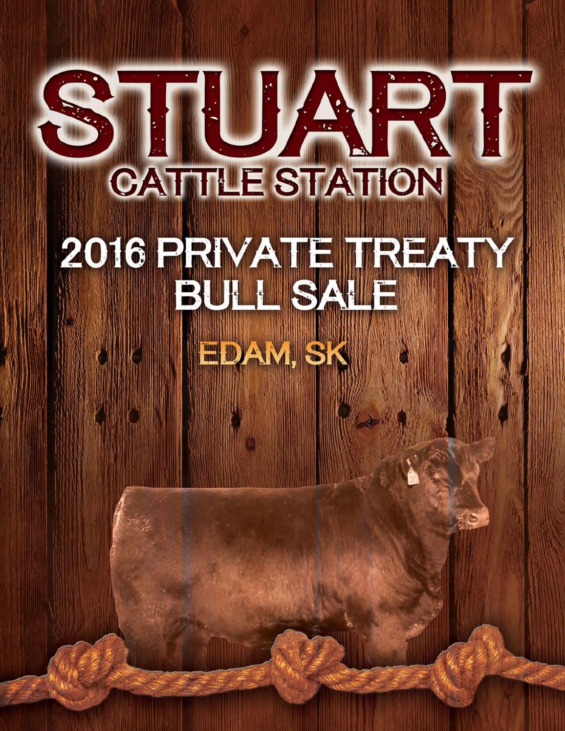 Stuart Cattle Station Private Treaty Bull Sale by Today's Publishing Inc. Issuu