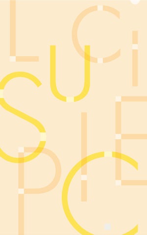 Luci Pte. Ltd. official 灯饰目录 · Luci SPICE - 商用 FACILITY 版 - 第 2 页