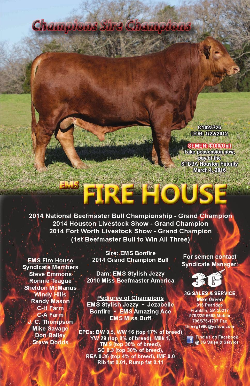 The Banner - Beefmaster Seedstock Directory by Beefmaster Breeders ...