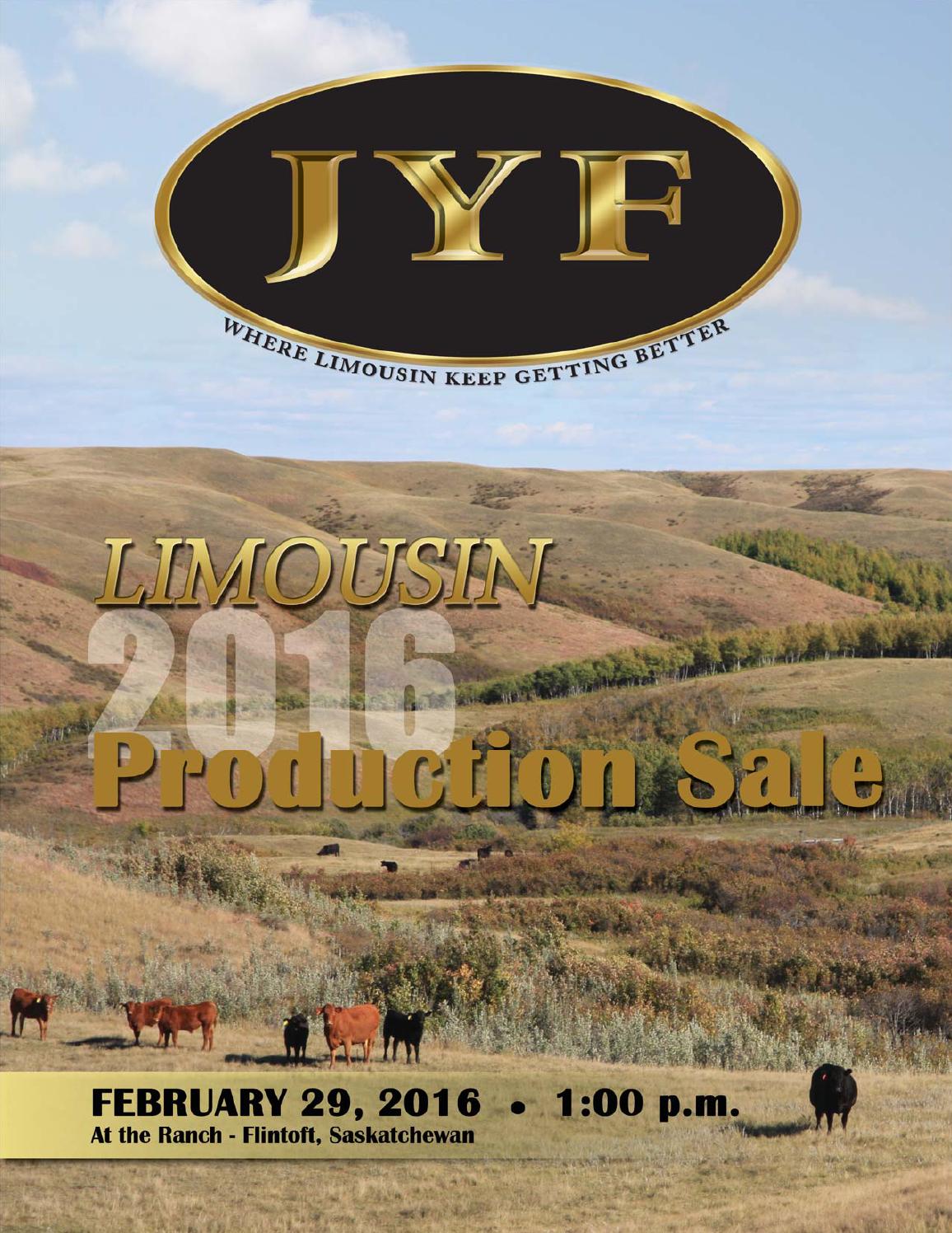 JYF Limousin Production Sale Flintoft, SK by Today's Publishing Inc