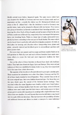 Page 185