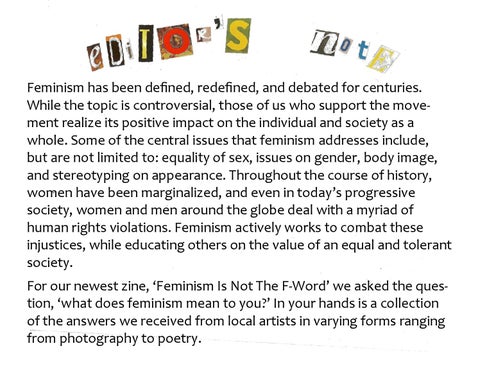 Feminism Is Not The F Word 第 2 页