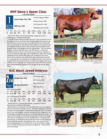 Kentucky Beef Expo Simmental Sale 16 By Barbour Marketing Solutions Llc Issuu