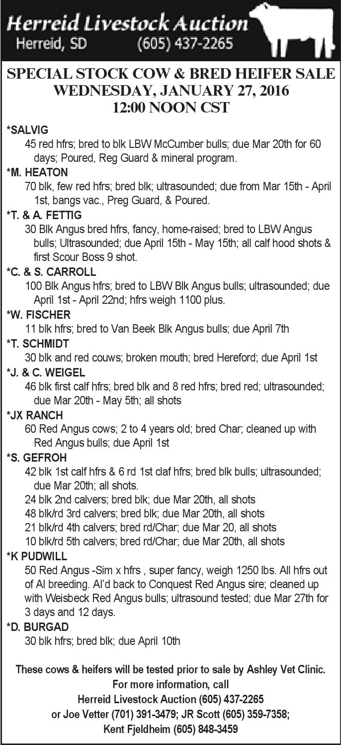 Herreid Livestock Auction by TriState Livestock News Farmer