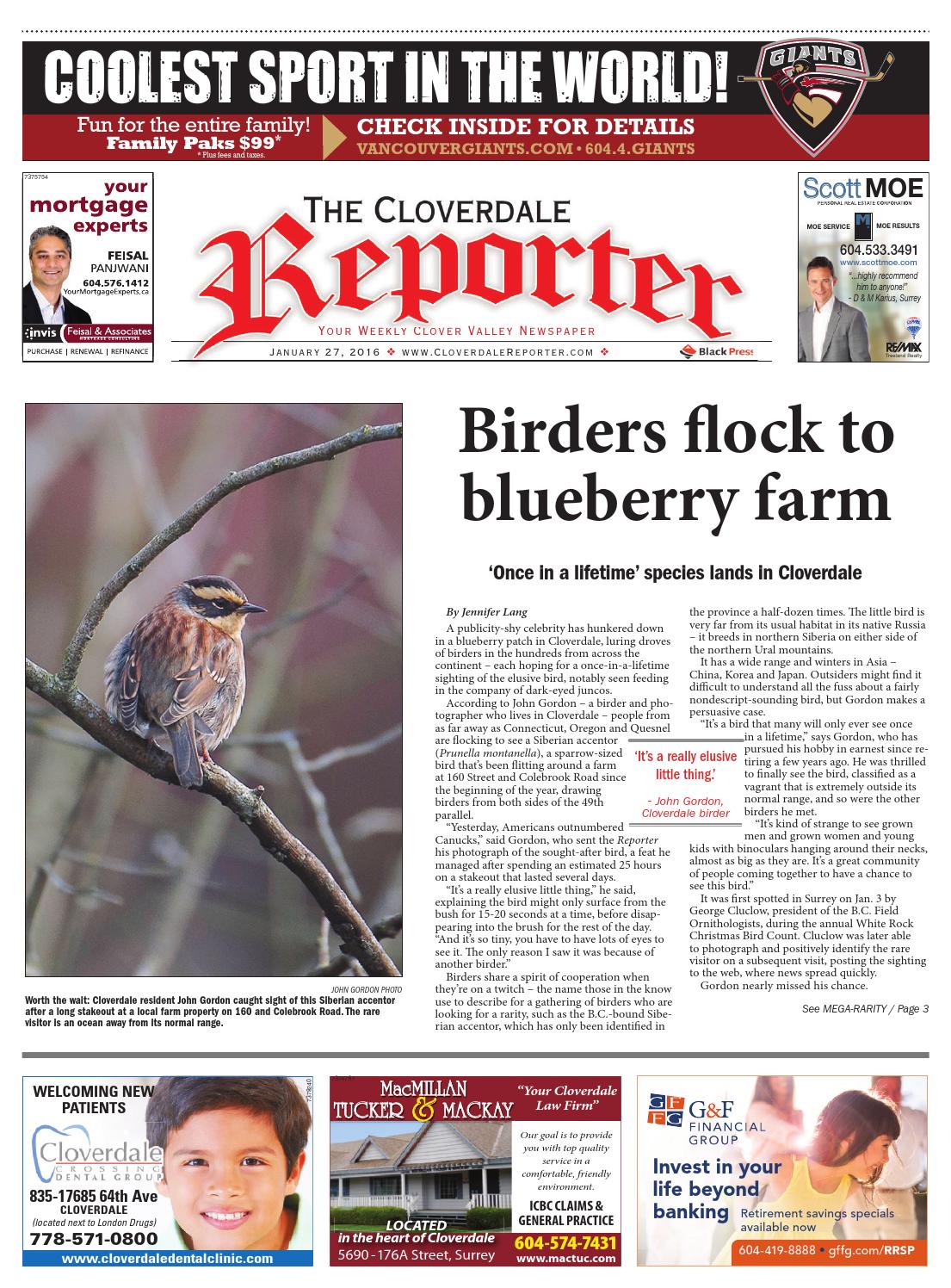 Cloverdale Reporter, January 27, 2016 by Black Press Media Group Issuu
