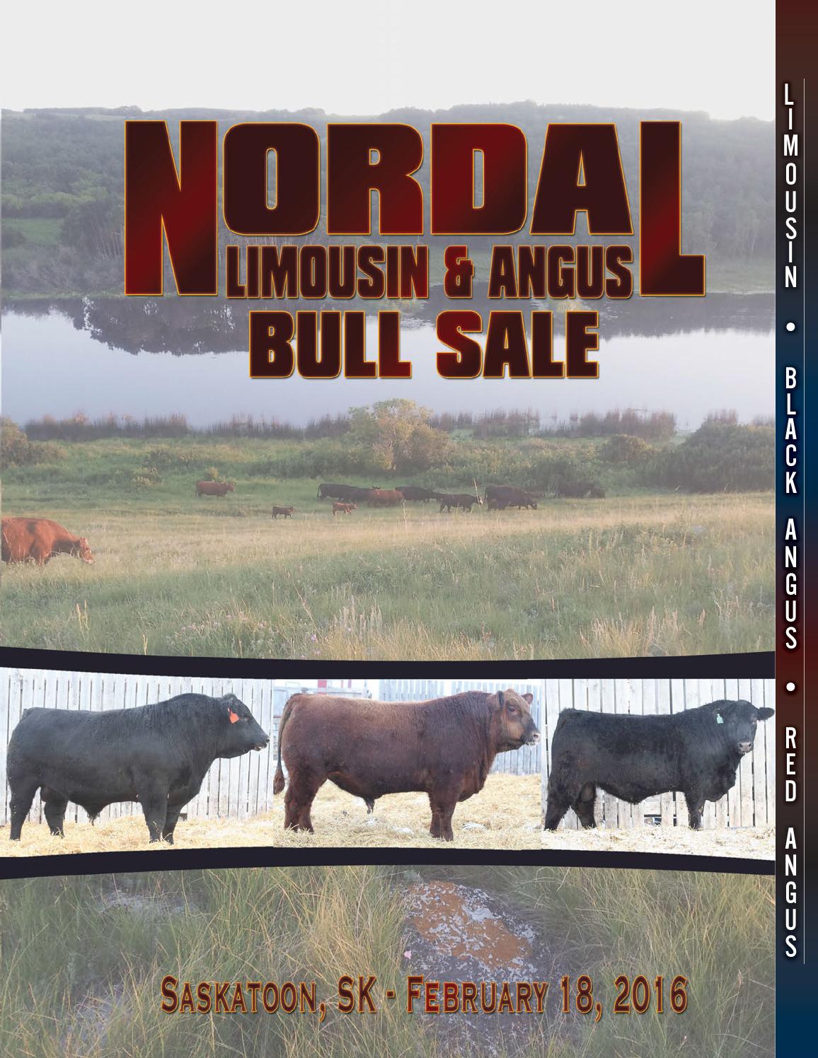 Nordal Limousin & Angus Bull Sale 2016 by Bohrson Marketing Services