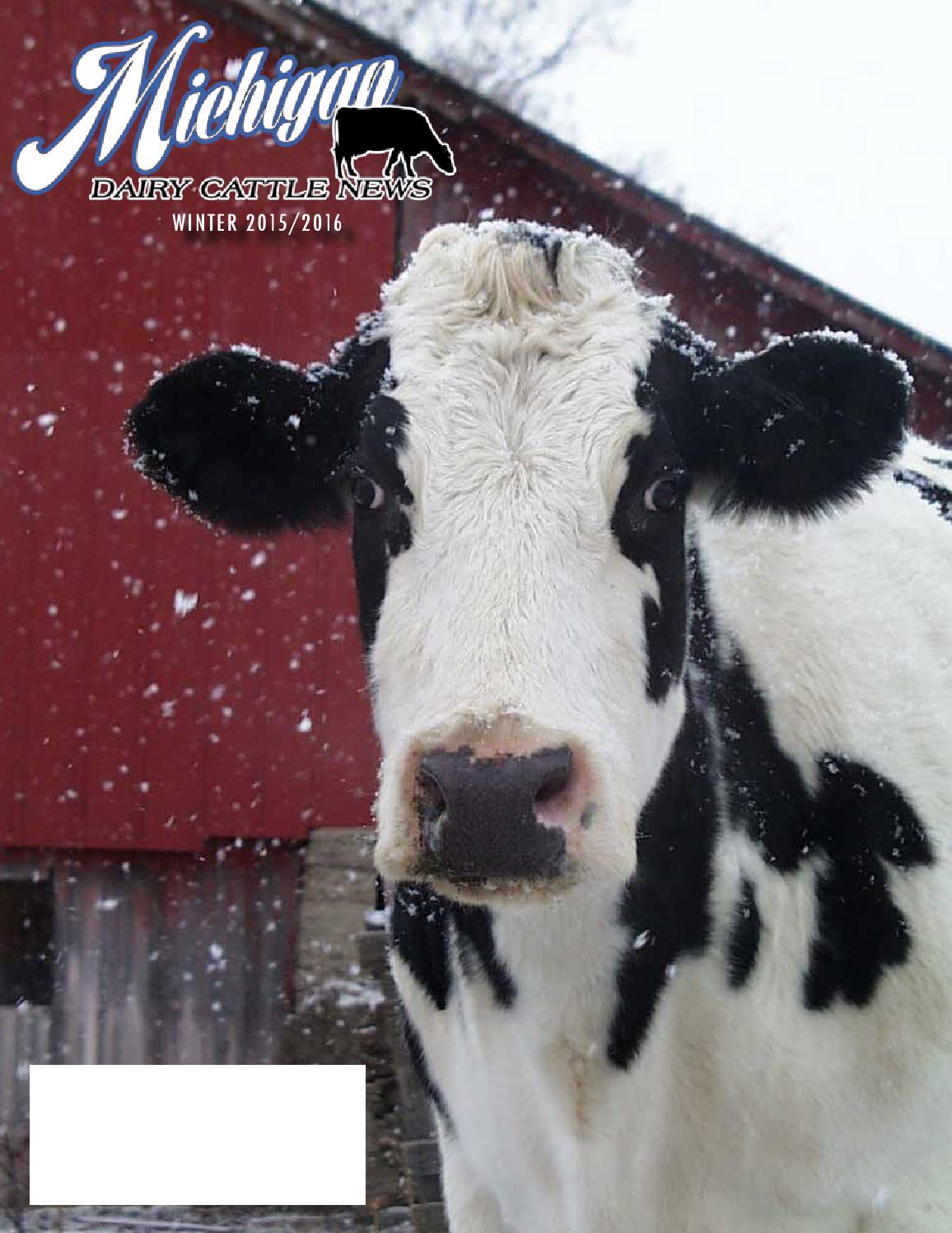 Michigan Dairy Cattle News_Winter 2015/2016 by Dairy Agenda Today Issuu