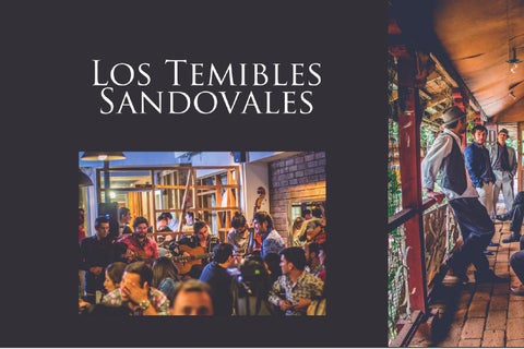 Loa Temibles Sandovales 第 6 页
