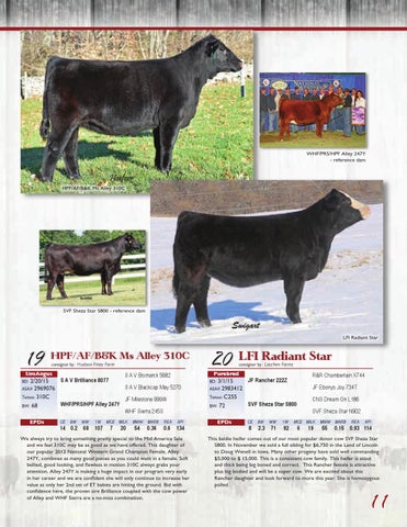 Mid America Simmental Sale Illinois Beef Expo 16 By Barbour Marketing Solutions Llc Issuu
